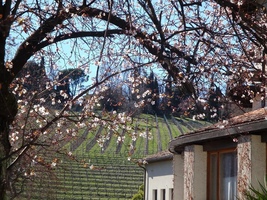 Sporting Hotel Ragno D'Oro Conegliano